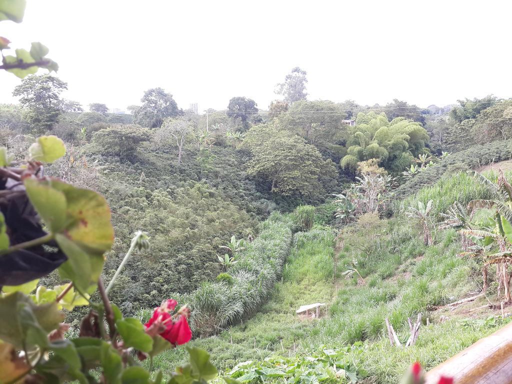 Finca El Diamante Villa Calarcá Eksteriør billede