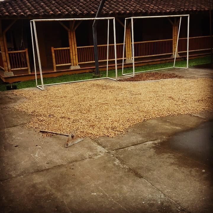 Finca El Diamante Villa Calarcá Eksteriør billede