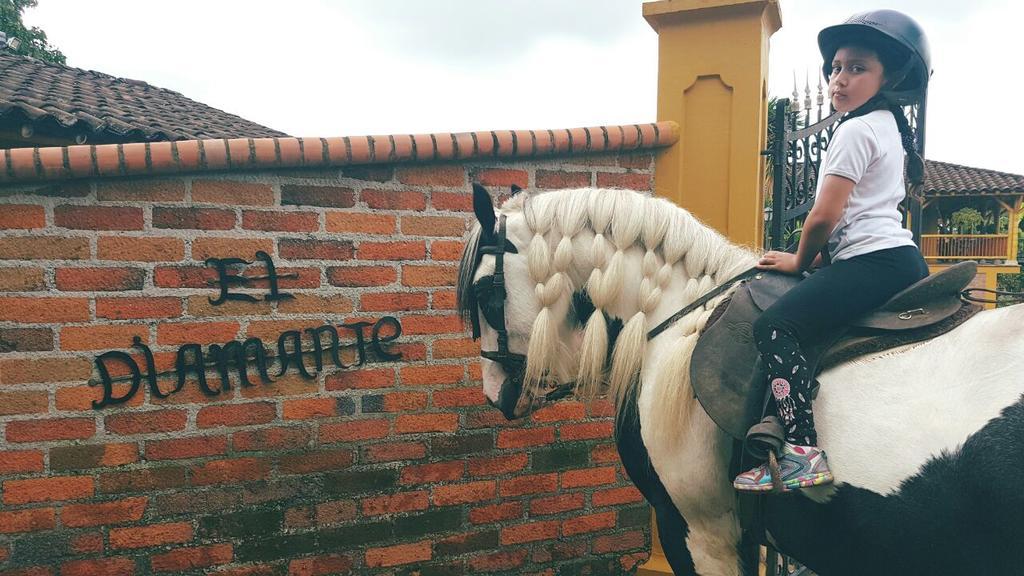 Finca El Diamante Villa Calarcá Eksteriør billede