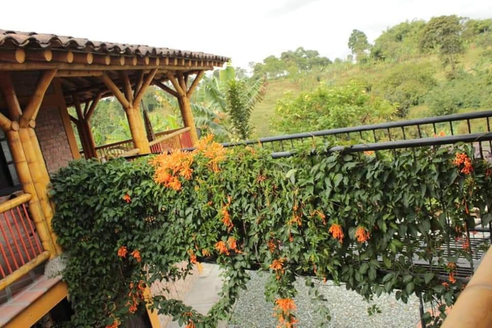 Finca El Diamante Villa Calarcá Eksteriør billede